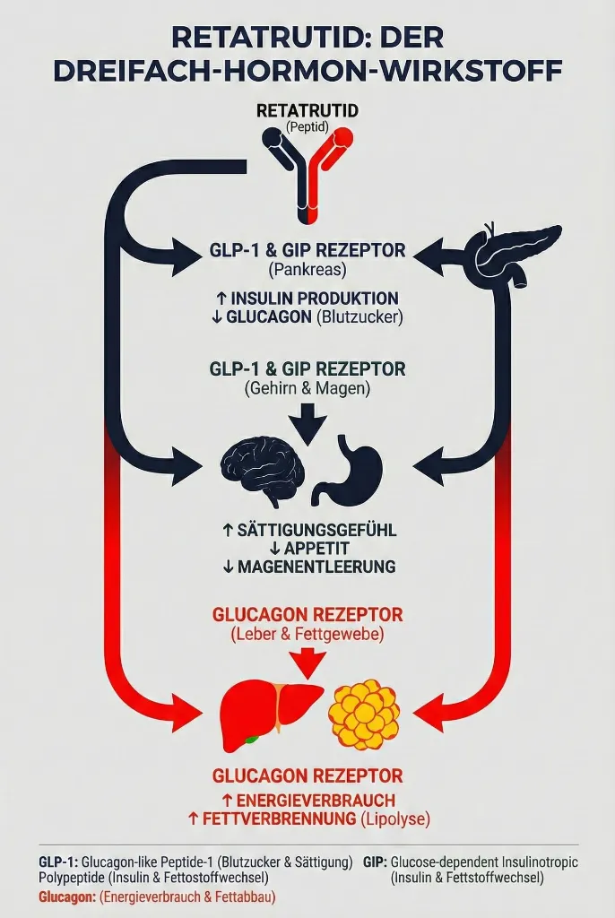 grafik_reta.webp